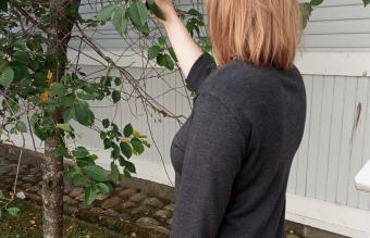 Product Slider Image