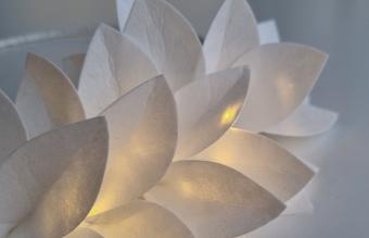 Product Slider Image