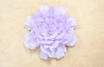 Product Slider Image